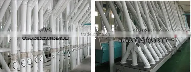 Compact Maize Millers 50t/24hrs