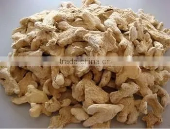 Buy High Quality Dried Ginger Whole from Chinese Factory Low Price