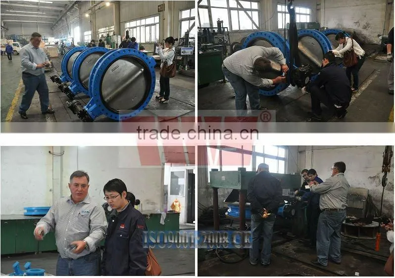 DN40-DN600 PN10/16 Nylon Coated Butterfly Valve