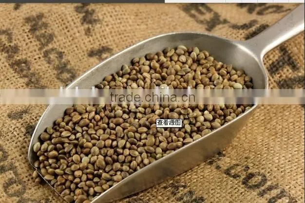 Hot selling wholesale agricultural hemp seeds