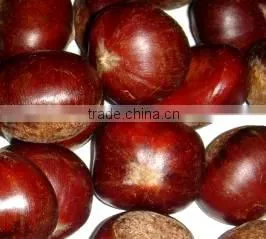 frozen chestnut diced 2014