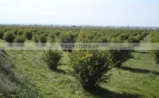 Aromaproduct Ltd company overview - view 1