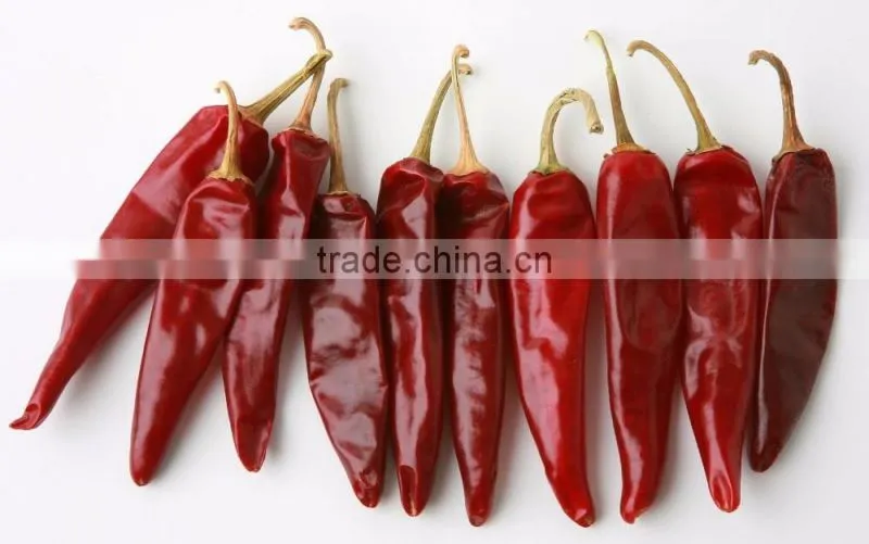 Premium Quality Indian Dry Red Chilli Exporters