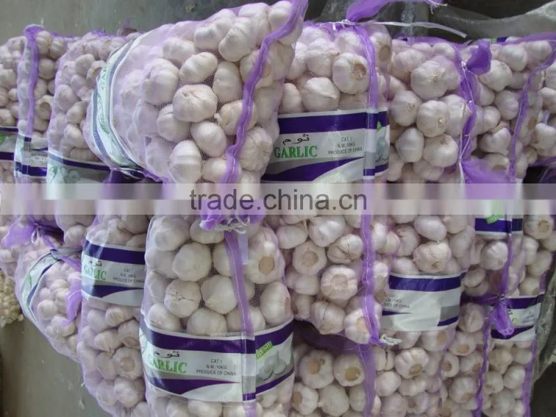 hot selling fresh garlic garlic garlic china