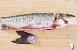 stainless steel fish deboner/electric fish deboning machine