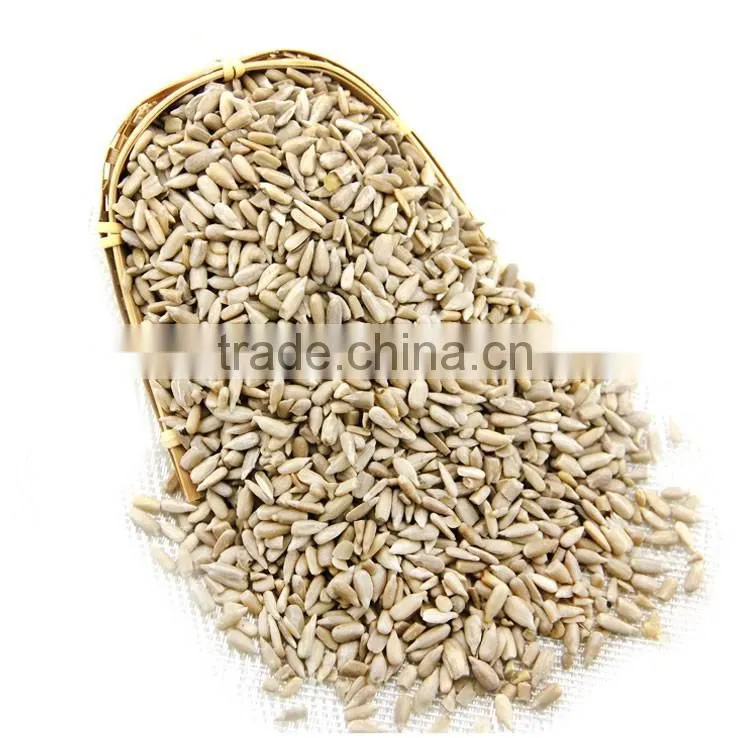 chinese bakery sunflower seeds kernel hot sale