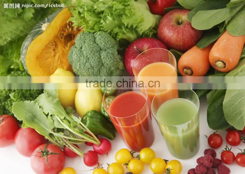Strong but easy cleaning pineapple juicer machine