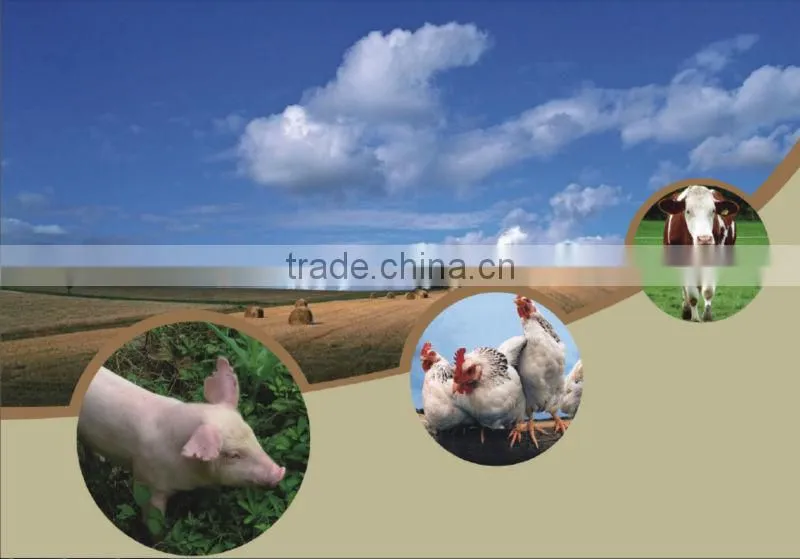 Fubon Inactive Dry Yeast for animal nutrition, yeast powder for feed