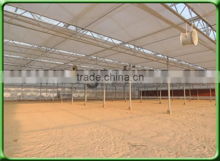 Commercial Venlo Glass greenhouse