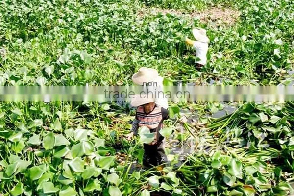 S&D eco-friendly 100% hand made water hyacinth large nature laundry basket with plastic handle