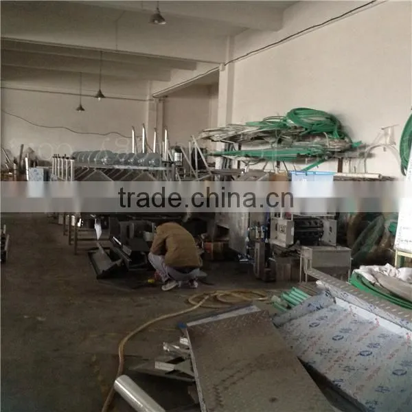 Commercial Fruit Drying Machine / Fruit Mesh Belt Dryer