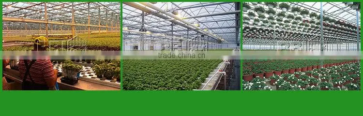 Greenhouse