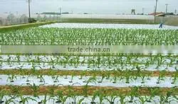 agricultural plastic film