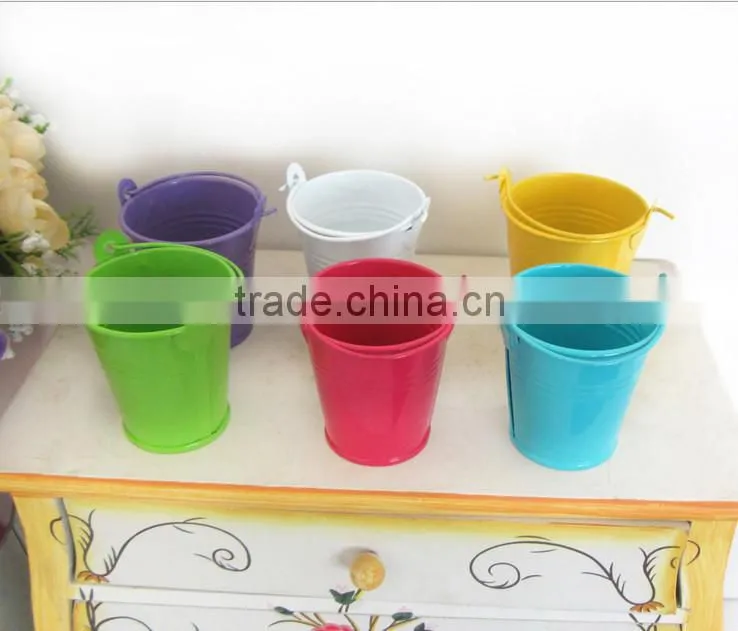 CCGB-G109 New Available Mini Metal flower bucket, garden bucket, creative bucket