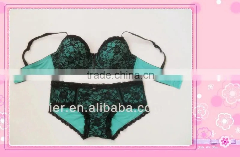 Lace/Micro Plus Size Bra&Underwear Set Real Underwear