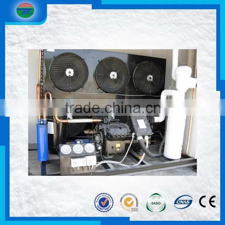 Unique style 6SJH-4000 mini copeland condensing unit