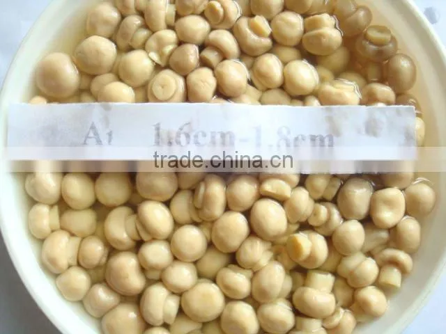 Canned Mushroom Whole