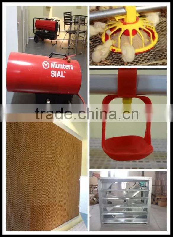 hot sale poultry use chicken farming