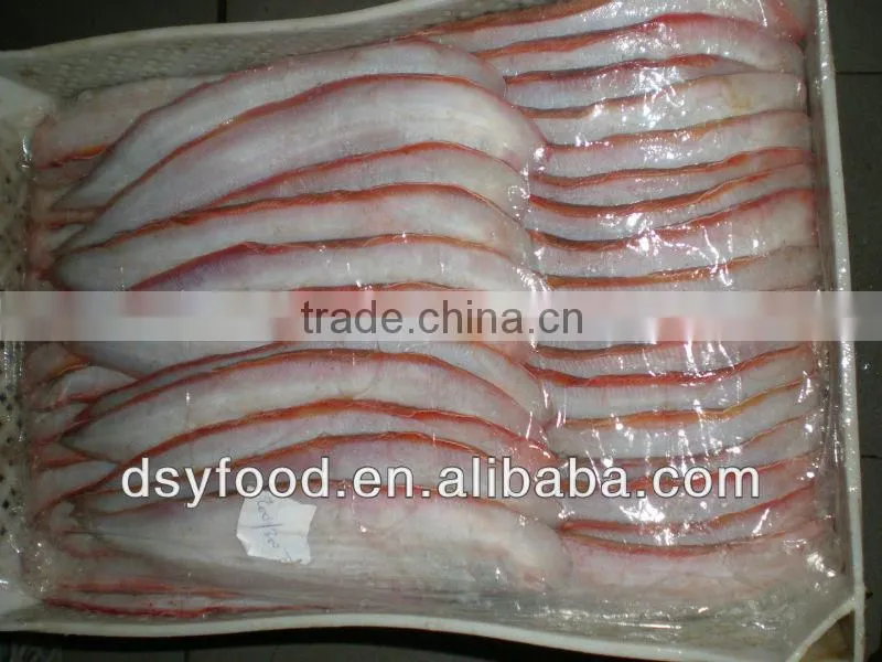 high quality frozen tongue sole fish