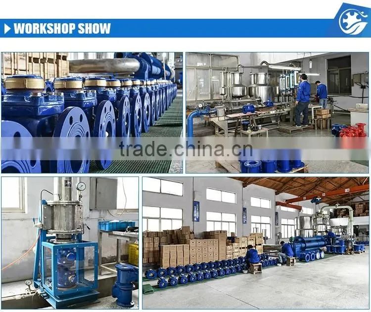 WS 50~150Vertical Vane Wheel Woltman Direct Reading Magnetic Detachable Mechanical Cast Iron Industrial Woltman Flow Water Meter