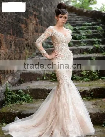 Champagne Vestido De Noiva Manga Longa Tulle Sexy V Neck Elegant Long Sleeve Wedding