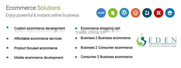 custom ecommerce website development