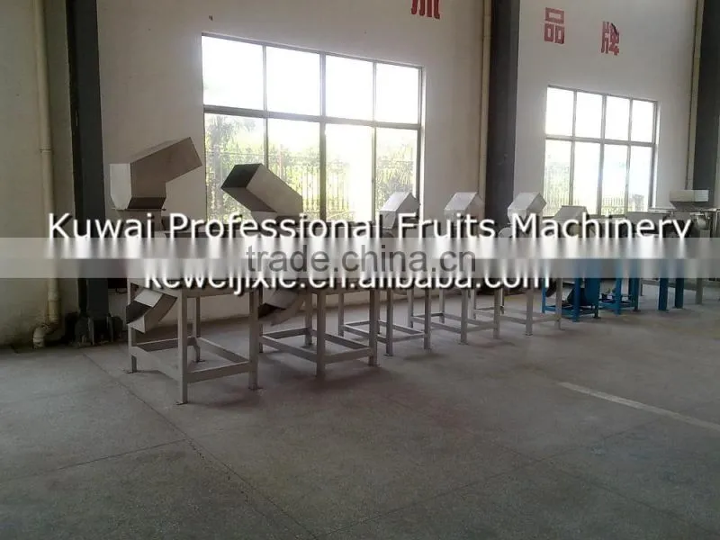 5 ton CPS-5 Model squirrel cage type garllic crushing machine(Industrial fruit crusher)
