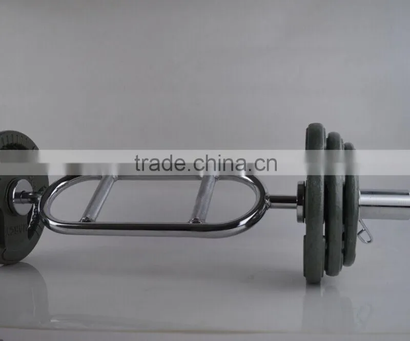 handle painting olympic barbell weight plate in weight lifting