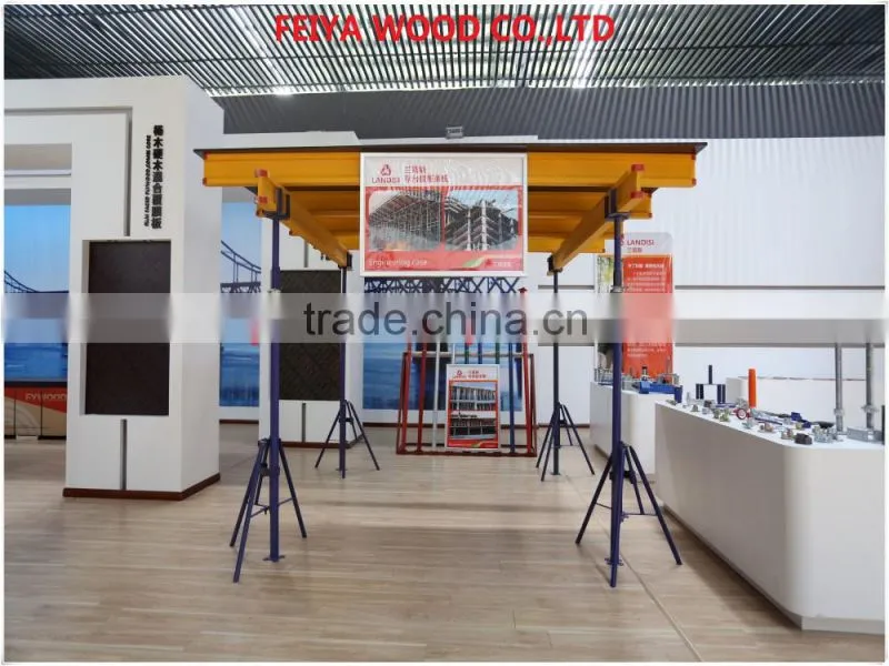 High Quality Steel Ringlock Scaffolding for Working Platform or Support System