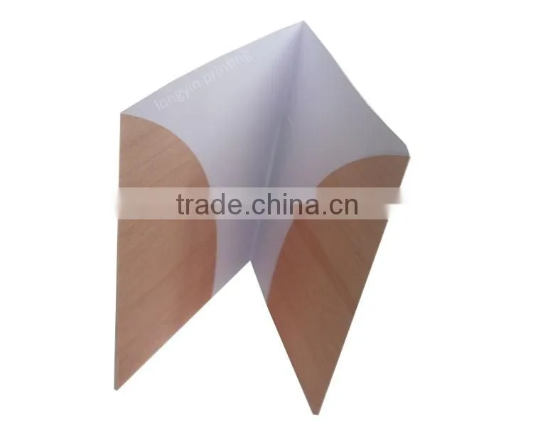 Beautiful plastic file folder, paper file folder printing