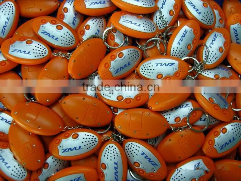 Portable voice recorder LED keychain, promotional gift company exhibition mall activities