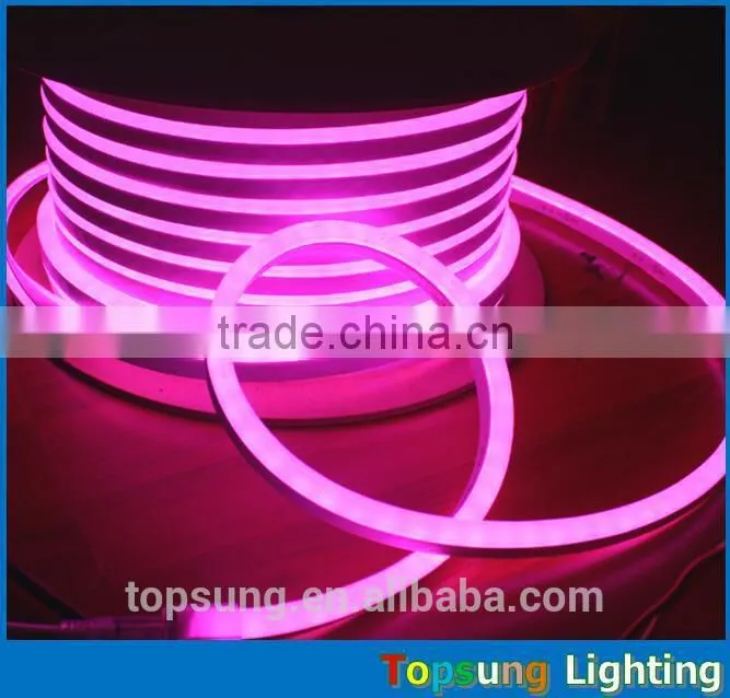 waterproof IP65 12v/24v led neon light with indoor and outdoor use