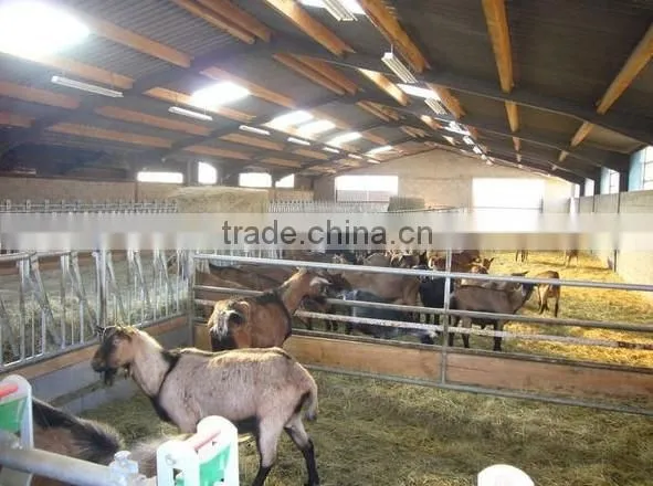 poultry farming equipment for broiler chicken house