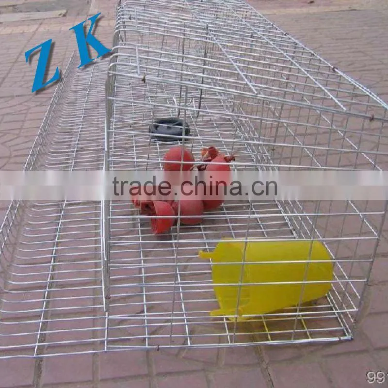 Automatic water for Chicken Cage , laying hen ,small Chicken ,chick