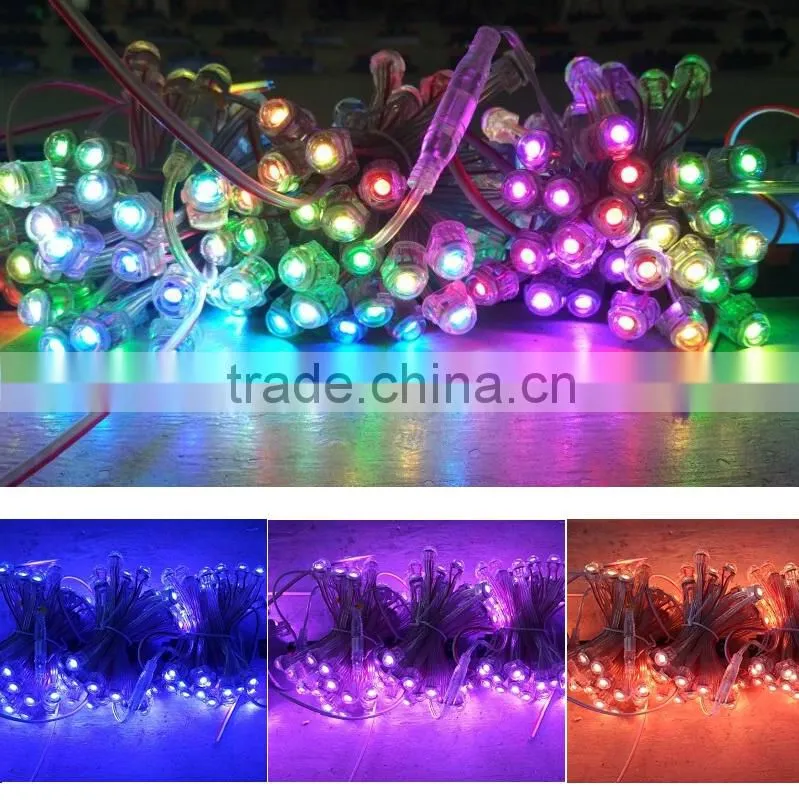 5 meter Cheap price 5630 / 5050 led strip lights low voltage 12V waterproof led flexible strip light christmas lights