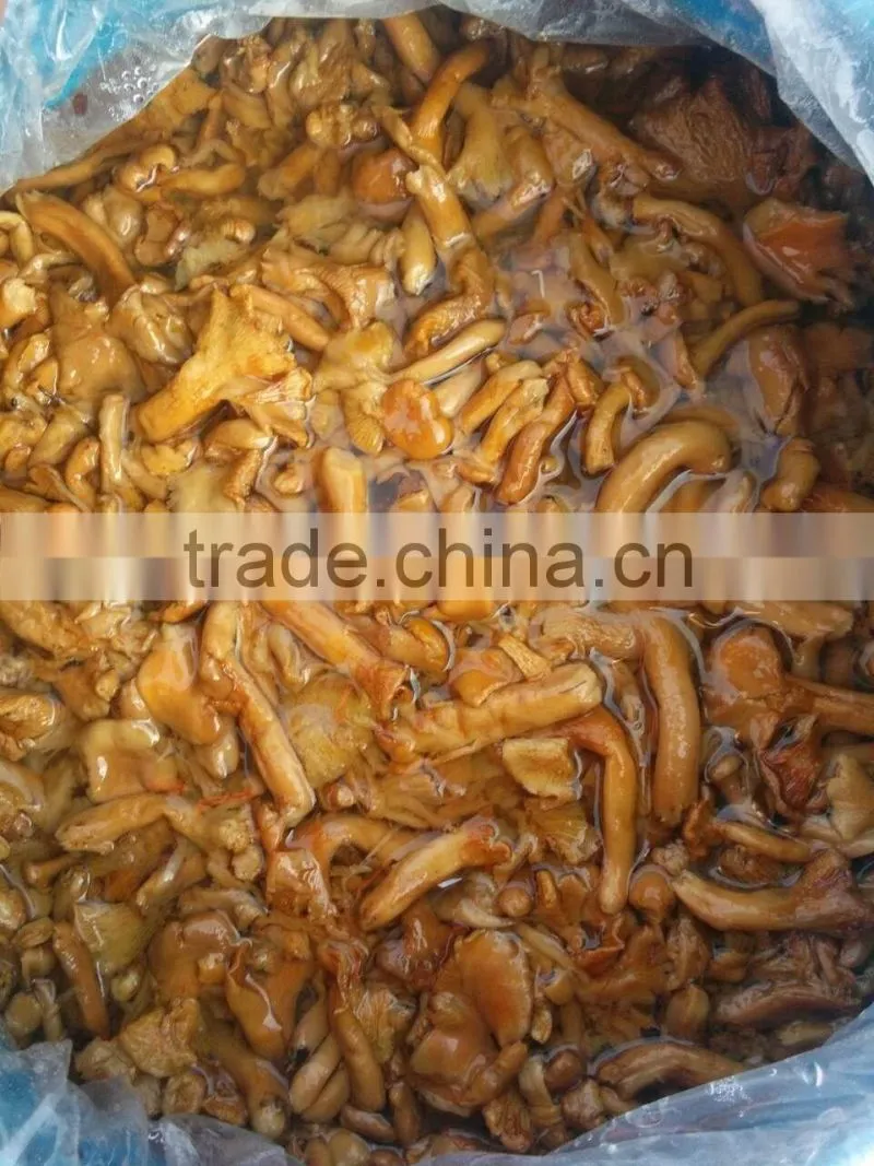 Class B Broken Mushroom Cantharellus Cibarius in Brine