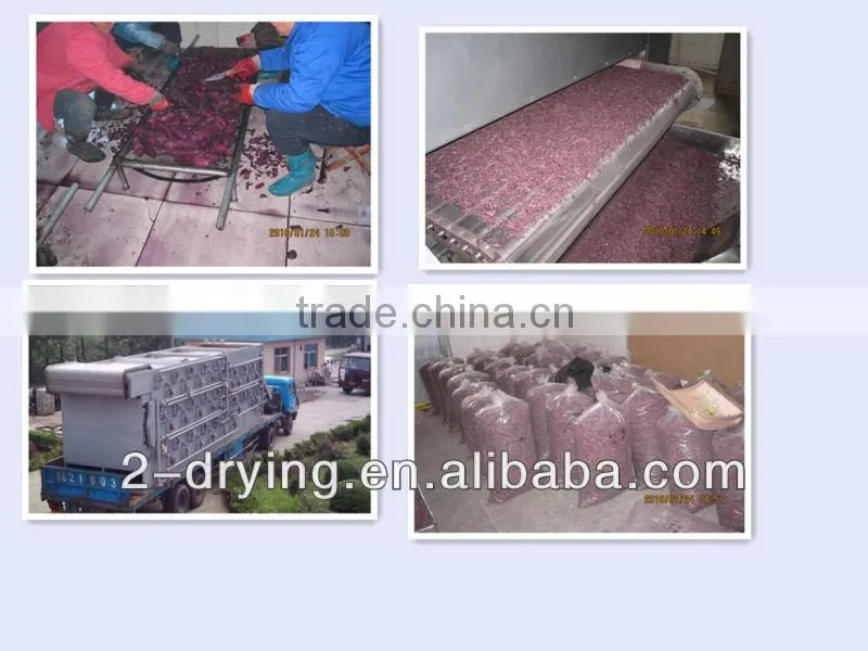 agar-agar dryer