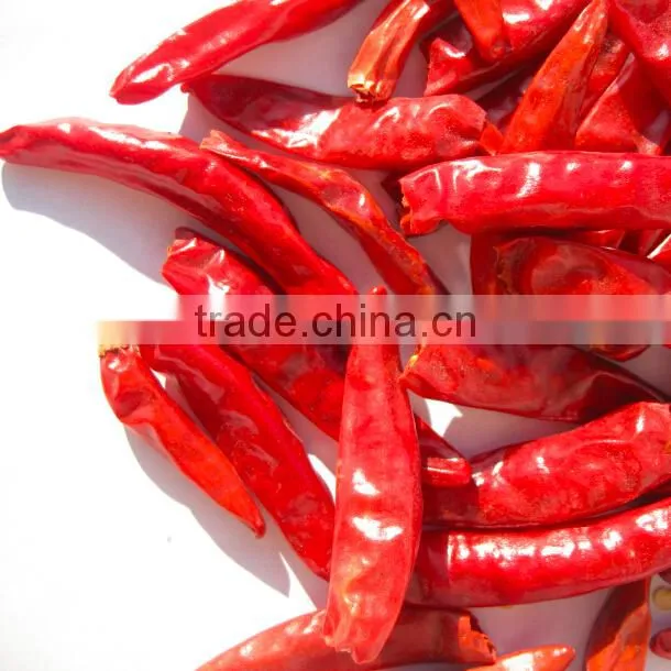 Chinese supplier wholesales export dried red chilli import from china
