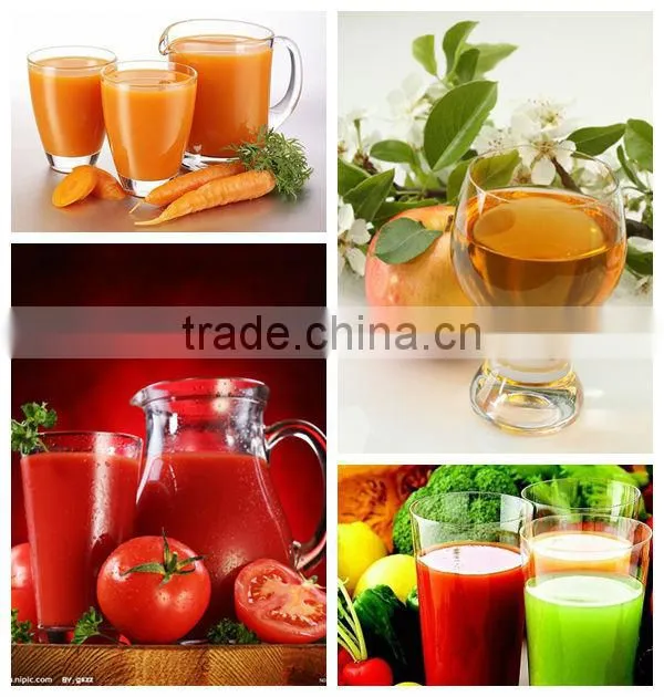 alibaba professional orange juicer / juice extractor / fruit juicer