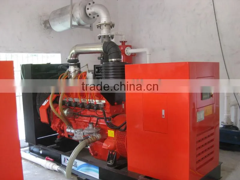 Farm Waste/Animal Waste Biogas Power Plant/Biomass Cogeneration Plant 20KW-500KW