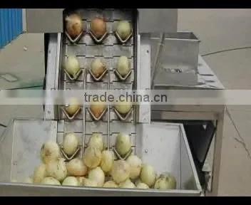 Peel Onion-by Completely Automatic Onion Peeler