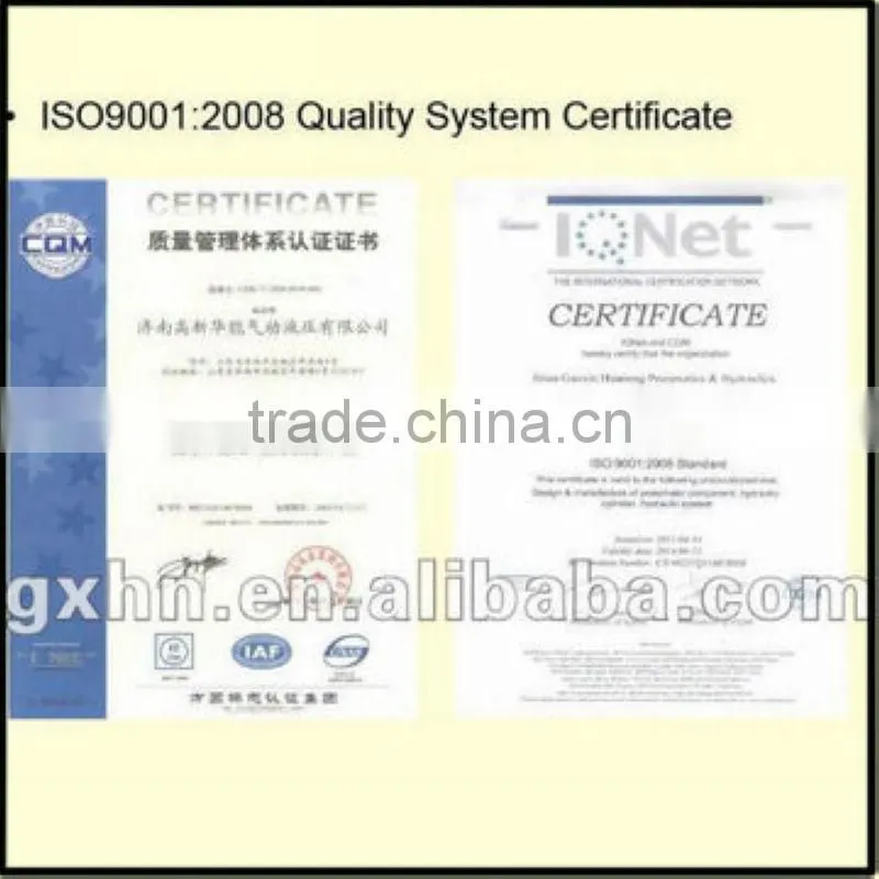 extra long stroke Hydraulic Cylinder nonstandard