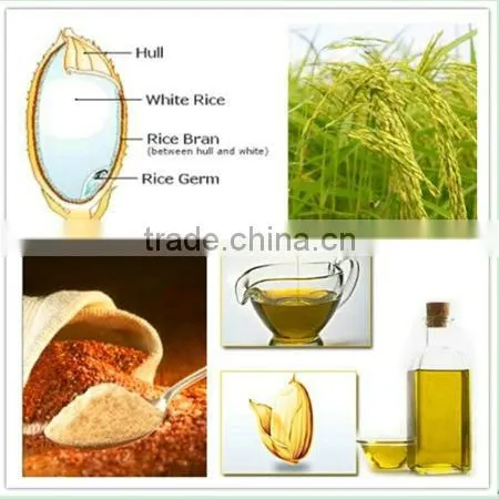 CE ISO Approved peanut rice bran edible oil production line with best price from Henan