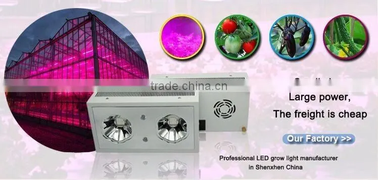 UV Light Lamp Malaysia Greenhouse Horticulture Used LED Grow Light