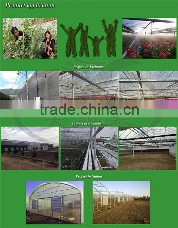 greenhouses agriculture projects structural tubes 2015 china factory wholesale good quality precision steel pipe for greenhouse