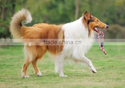Plush pet toy for dog with squeaker