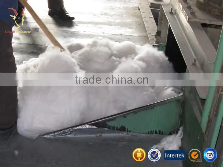 Best Origin of Cashmere Fibres Chinese