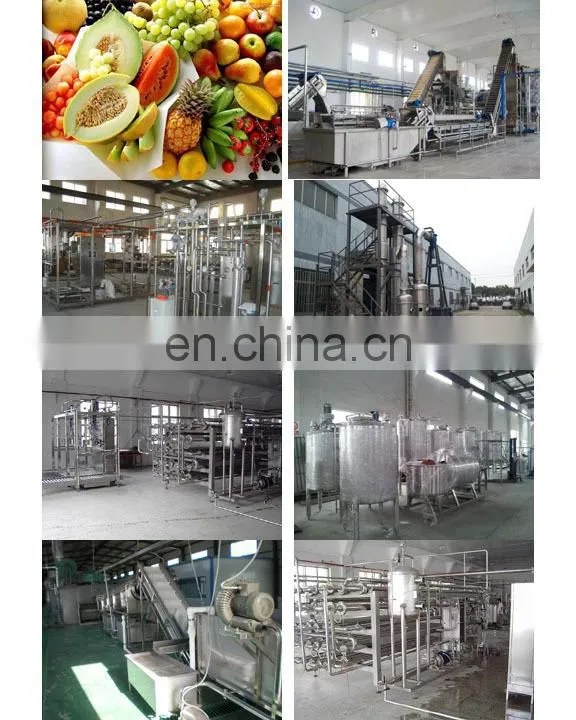 full plant plantain banana powder making machines