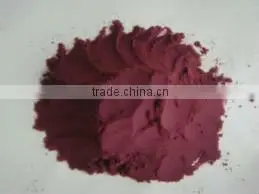 100% natural grape seed P.E./grape seed extract powder