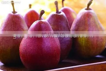 Fruit waxing sorting machine /Apple waxing machine / Citrus waxing machine sorting machine